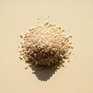 A small pile of psyllium husk seeds — pale beige, fluffy fiber